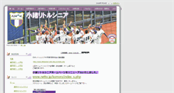 Desktop Screenshot of komoro-littlesenior.ctk23.ne.jp